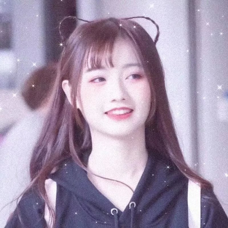 狮子护卫队第一季